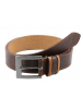 Fastrack Brown Single-Sided Leather Belt with Antique Brass Finish Buckle -B0405LBR01X