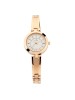 Titan Silver Dial Analog Watch & Rose Gold Metal Strap for Women-2598WM01